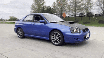 Subaru Subie GIF