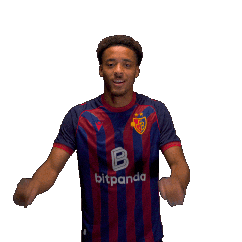 Football Soccer Sticker by FC Basel 1893