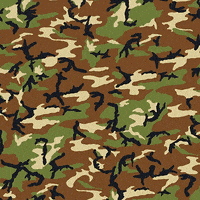 Camoflauge GIFs - Find & Share on GIPHY