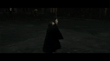 Harry Potter GIF