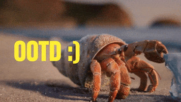 Crab Changing GIF by JoinZuzu