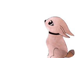 GIF by Kunstkwartier