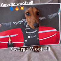 Formula 1 F1 GIF