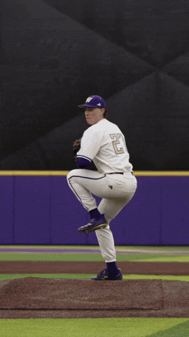 GIF by Washington Athletics