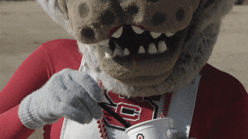 Nc State Howling Cow GIF by NC State University