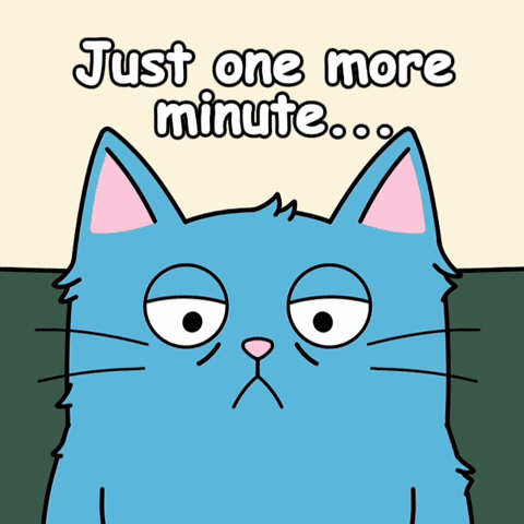 Sleeping In Blue Cat GIF