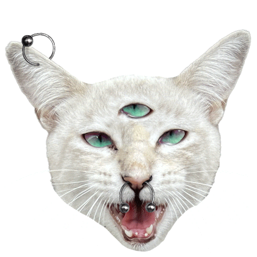 Cat Piercing Sticker by Felipe Villarreal