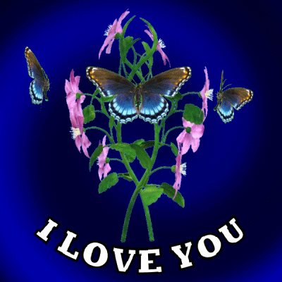 Digital art gif. A bouquet of pink flowers spin around with blue butterflies following it and the text below reads, "I love you."