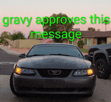 American Mustang GIF