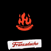 Friends Fire GIF by Embutidos Franz