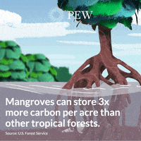 Climate Change Environment GIF by The Pew Charitable Trusts