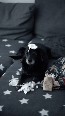 Wasnt Me Toilet Paper GIF