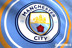 Premier League Football GIF