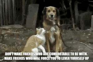 Friend GIF
