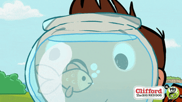 Fish Tank Swimming GIF by PBS KIDS