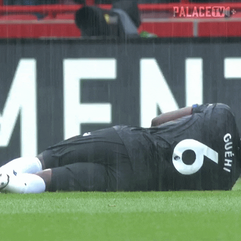 Premier League Out Of Breath GIF by Crystal Palace Football Club