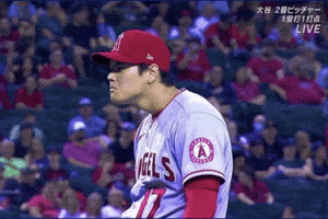 Face Expressions What GIF