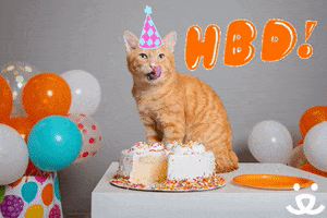 Celebrate Happy Birthday GIF by Best Friends Animal Society