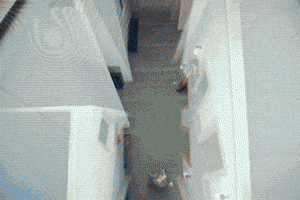 Look At Me GIF by ALLDAY PROJECT