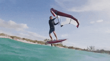 Duotone GIF