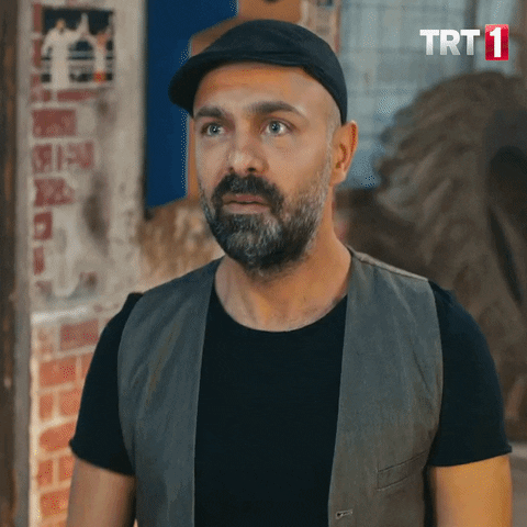 Blinking Tolgahan Sayışman GIF by TRT
