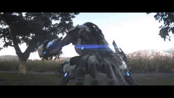 kind  GIF