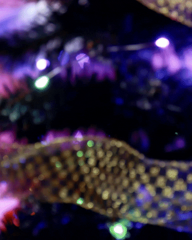 Stop Motion Christmas GIF by cintascotch