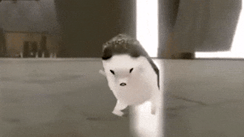 Hedgehog GIF