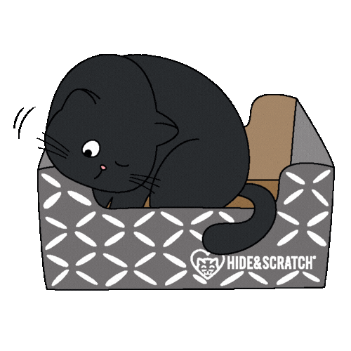 If I Fits I Sits Black Cat Sticker by Hide & Scratch
