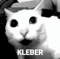 Kleber GIF