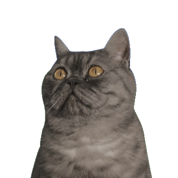 3M Sticker by Inplanet