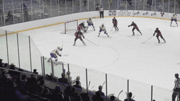 Hockey GIF