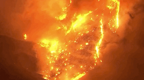 Forest-fire-wildfire GIFs - Get the best GIF on GIPHY