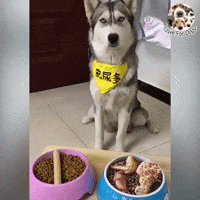 200.gif?cid=24fca87c7f48c29e41af3f0cf28936fbd7964e5dc9207789&rid=200.gif