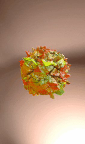 bottē GIF