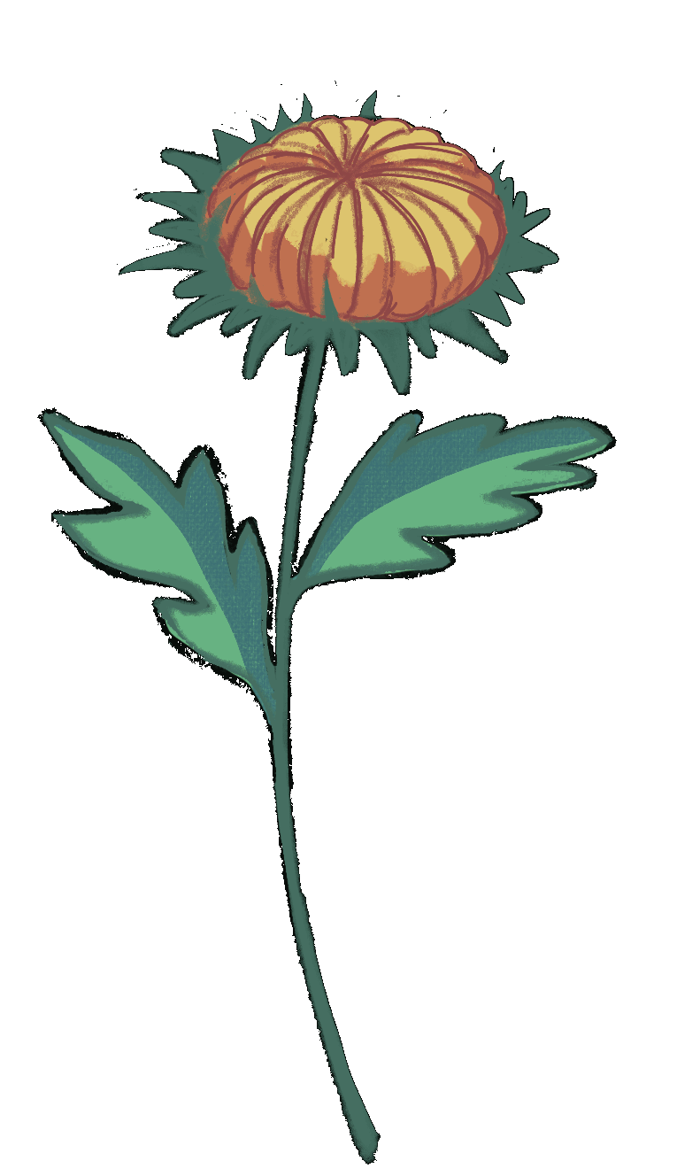 Flower Of Evil Sticker by shiancore for iOS & Android GIPHY