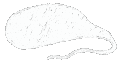 Drawing Doodle Sticker by shurushok