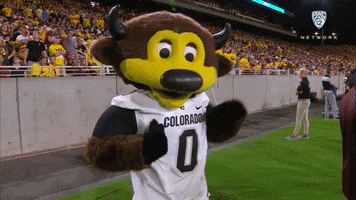 Happy Colorado Buffaloes GIF by Pac-12 Network