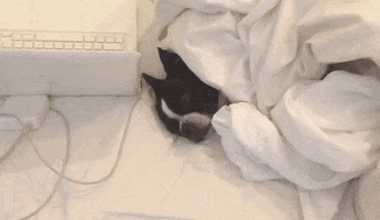 200.gif?cid=f0bdee7021ppe0z3ks5ssmrcka78nx7ioa2midzmhupkm8ht&rid=200.gif&ct=g
