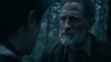 You Dont Understand Christopher Heyerdahl GIF by The Roku Channel