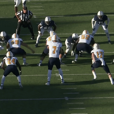 Football Touchdown GIF by Chattanooga Mocs