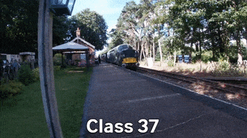 Train GIF