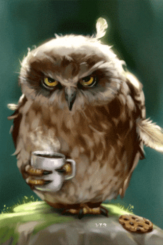 [Image: giphy.gif]