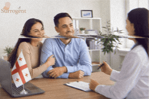 פונדקאות בגאורגיה GIF