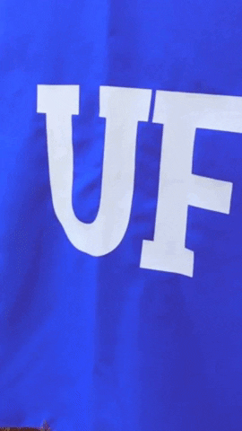 Uf Orange And Blue GIF by University of Florida College of Education