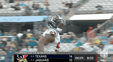 Houston Texans Football GIF by NFL