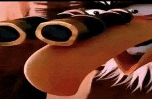 Bird Watching GIF