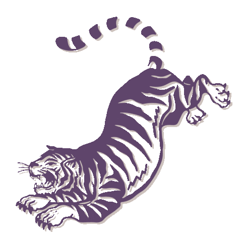 Tigre Morado Sticker