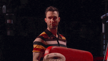 sorry adam levine GIF by The Voice