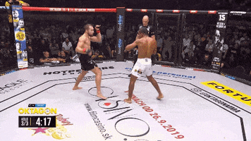 Mixed Martial Arts Kick GIF by OKTAGON MMA